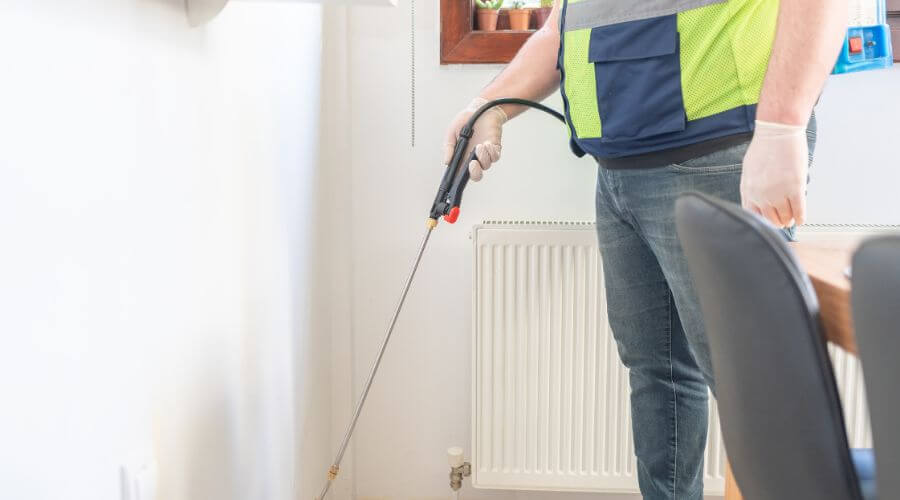 Professional pest removal services services in Morley